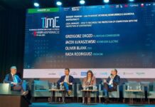 Cyfryzacja w Europie wg J. Łukaszewskiego