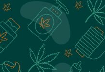 Polska może być potęgą w konopiach