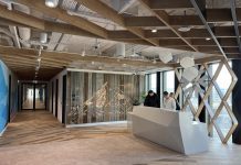 Zespół Snowflake urósł w Polsce o 100%