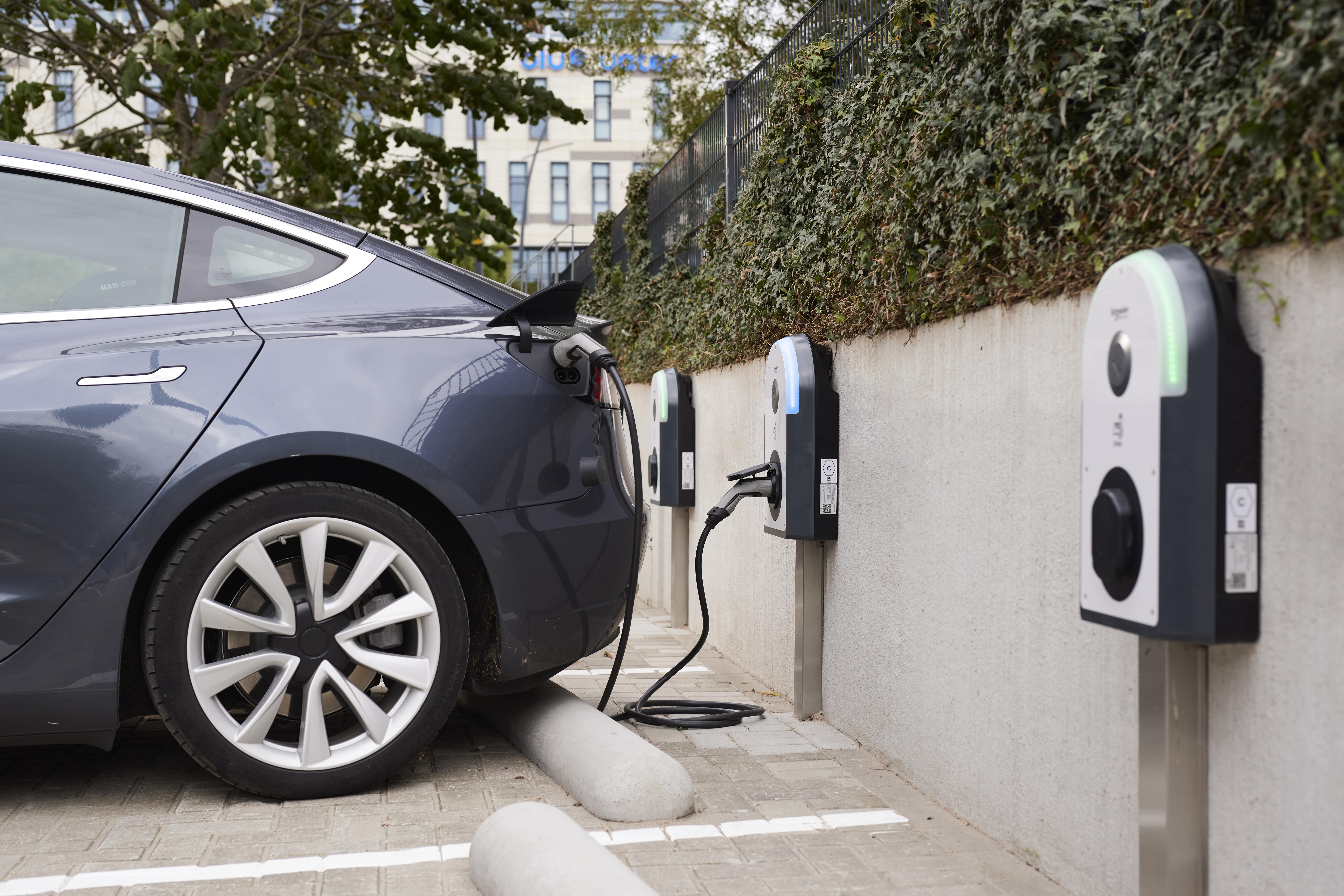 Tesla traci, ale wciąż króluje na rynku