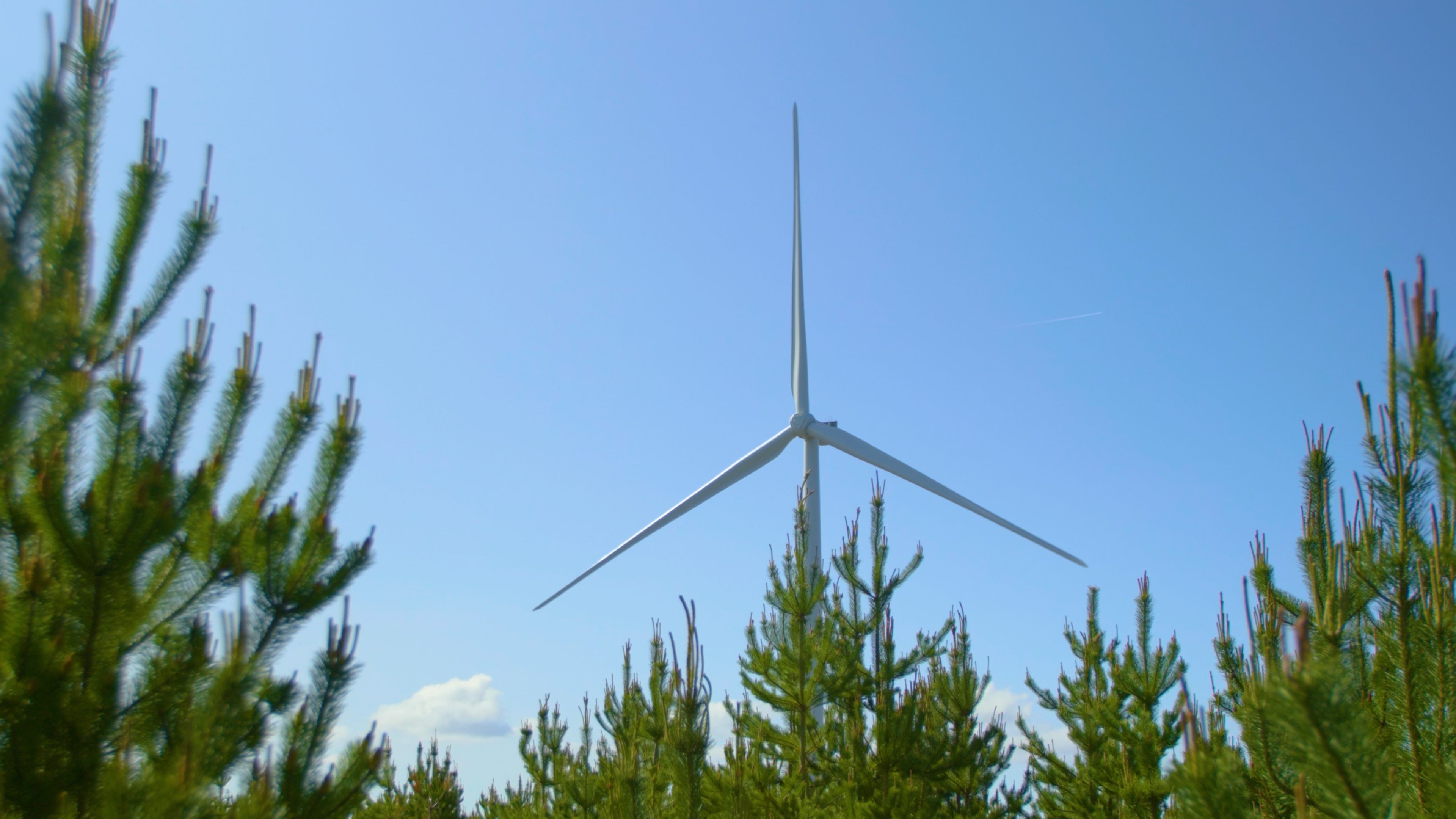 PKO Leasing i Alians OZE wspierają transformację energetyczną biznesu