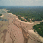 Innowacje w sercu Amazonii z SAP