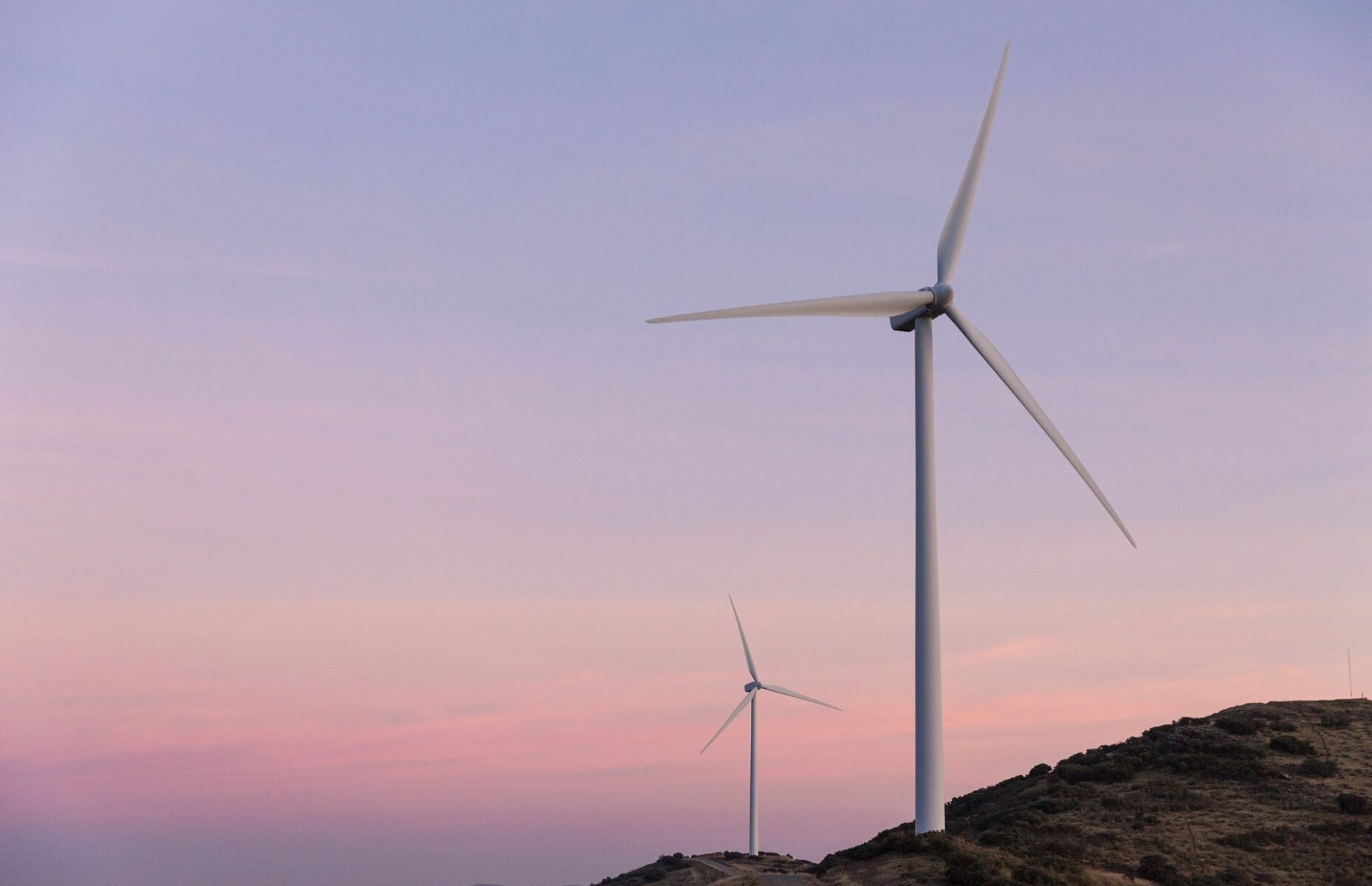 Aneo wybiera IFS Cloud