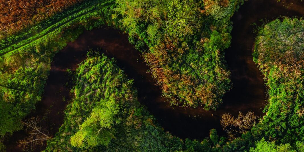 image_processing20251024-8-3sgy4x