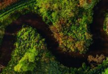 mBank prezentuje plan transformacji