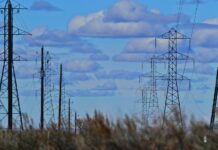 Polska na cyfrowym rozdrożu: czy wystarczy nam prądu na erę AI?