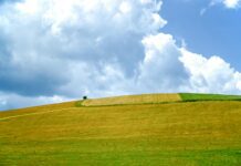 Axpo wraz ze Spectral uruchamiają w Polsce pierwsze wielkoskalowe magazyny energii na platformie VPP STELLAR