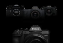 Canon EOS R8 Mark II – pełnoklatkowa jakość, pewność i stabilność w kompaktowej konstrukcji idealnej w podróży